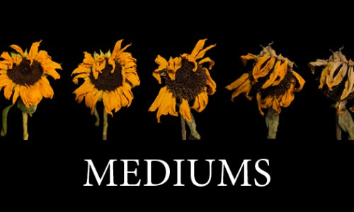 미디엄스(MEDIUMS) 이미지