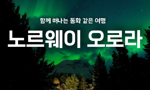 유니티트래블 이미지