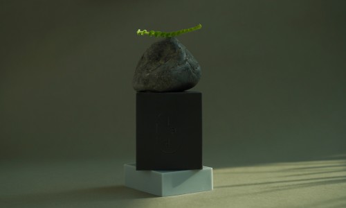 아르르(Arr) 이미지