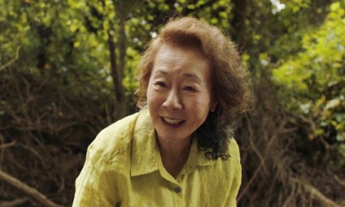 뉴욕미나리 이미지