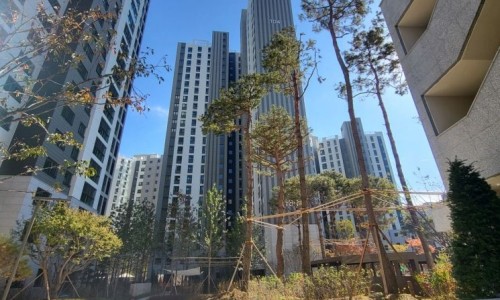 더클래시 이미지