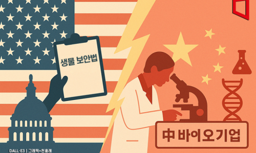 나우씨아이 이미지
