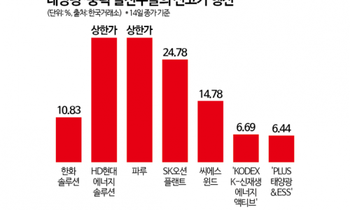 대성솔루션 이미지