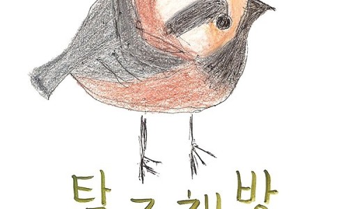 탐조책방 이미지