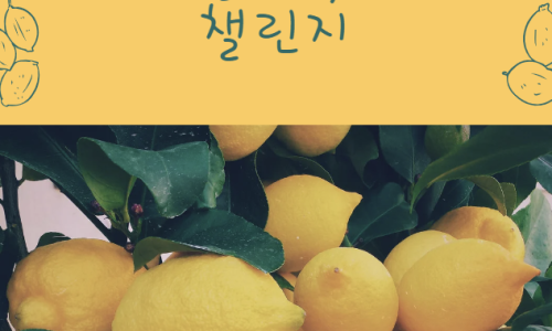 가치만들기 이미지