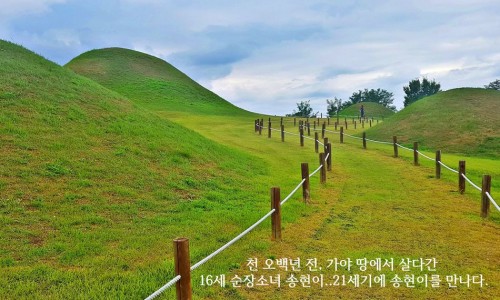 금곡국제여행사 이미지