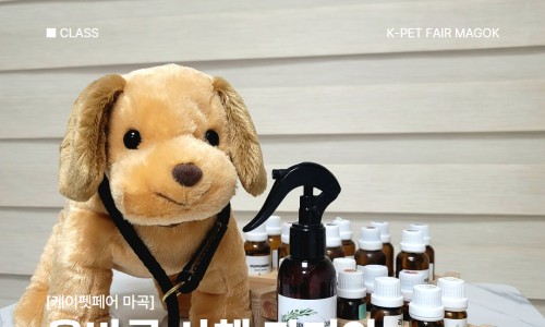 더힐테라피센터 이미지