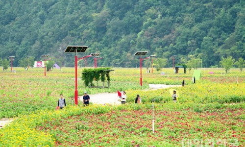 경북산소(주) 이미지
