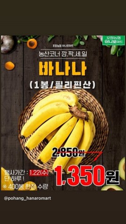 세일마트 이미지