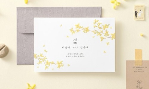 디얼무드 이미지