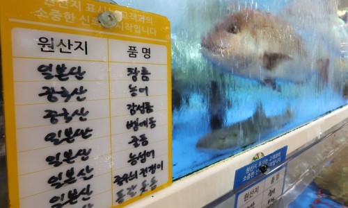 바다고기 이미지