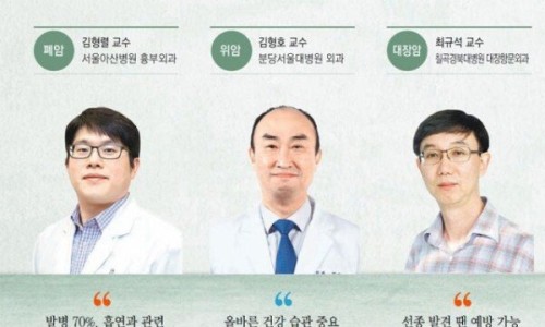 그릴리안 이미지