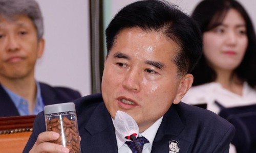 선*효 이미지