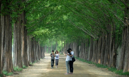 대세관광(주) 이미지