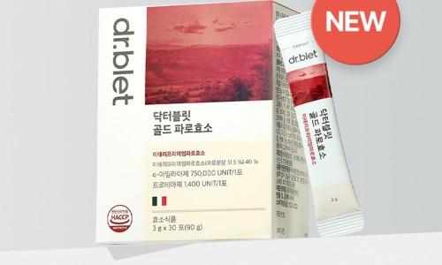 건블릿 이미지