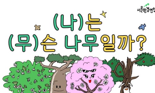 킹나무 이미지