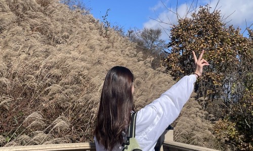 민둥산쉼터 이미지