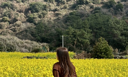 마이제주투어 이미지