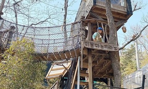 톰아저씨트리하우스 이미지