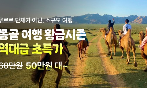 동행투어 이미지