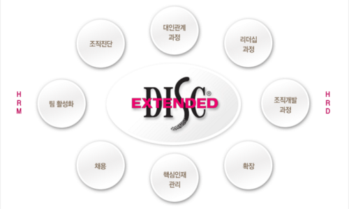 e-DISC 와 DISC 의 차이점? : 네이버 블로그