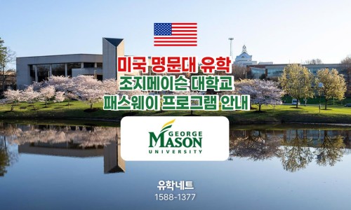 유학네트강남 이미지