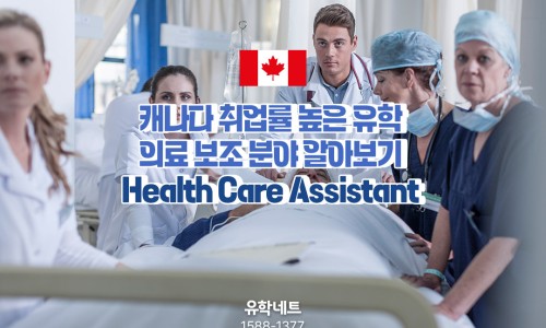 유학네트강남 이미지