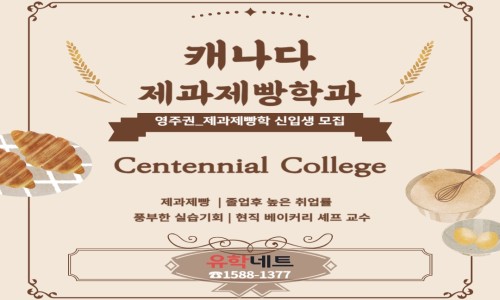 유학네트강남 이미지