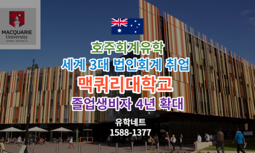 유학네트강남 이미지