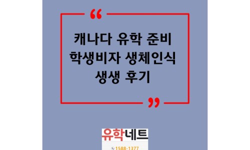 유학네트강남 이미지