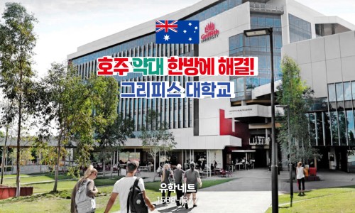 유학네트강남 이미지