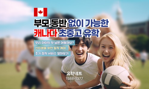유학네트강남 이미지