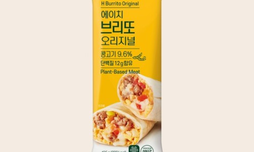에이치16 이미지