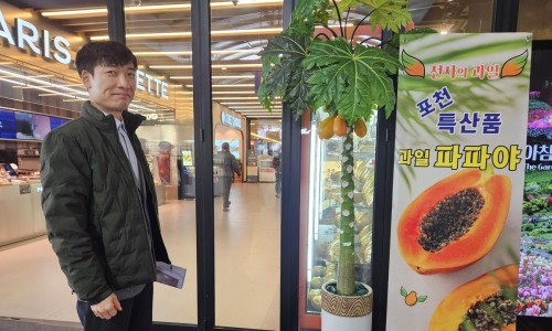 선우팜 이미지