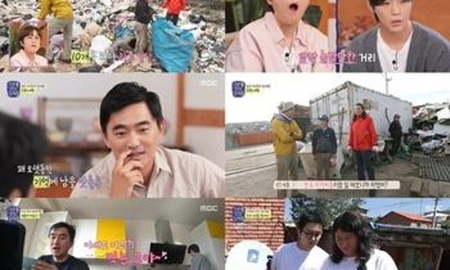 여행나무 이미지