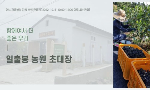 일출봉아로니아 이미지