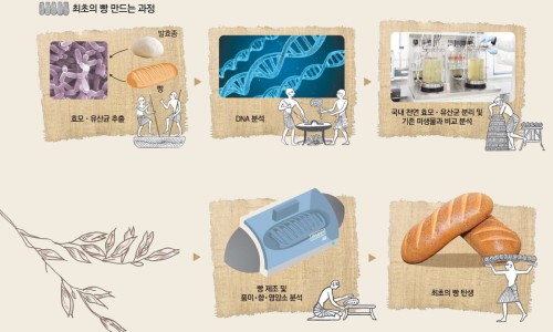 누룩꽃피는날 이미지