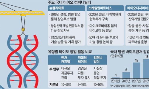 개미컴퍼니 이미지