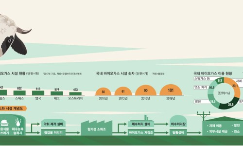 스페셜가스 이미지