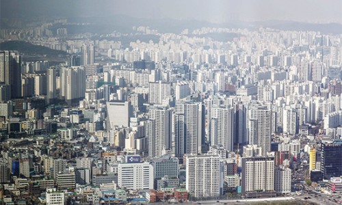 디앤디오피스알파 이미지