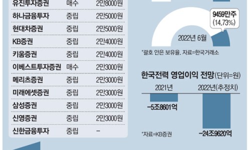 뉴신호가구 이미지