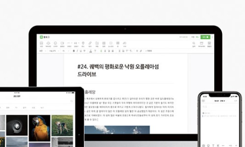 비지애드 이미지