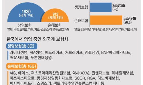 개미광고 이미지