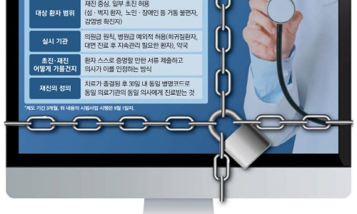 개미광고 이미지