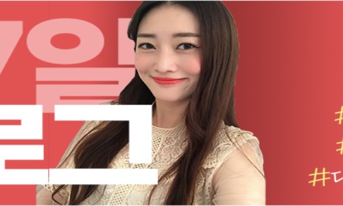 포인사이트 이미지