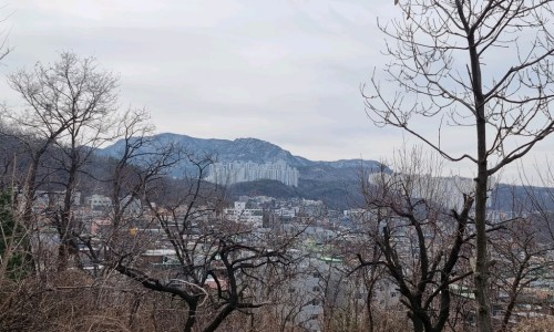 관악산코다리 이미지
