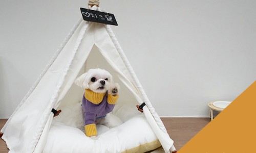 스테이105 이미지