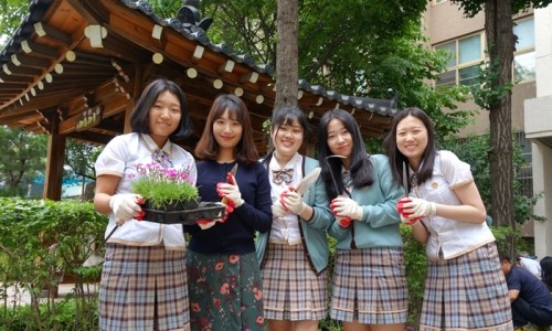 효성조경개발주 이미지