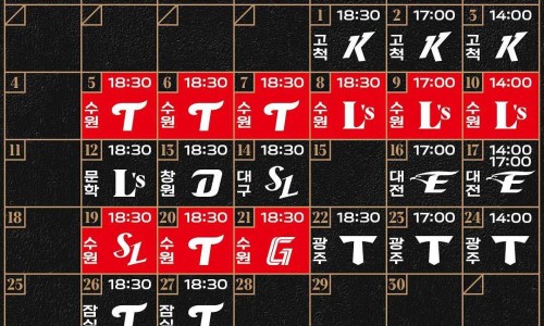 위즈링크 이미지