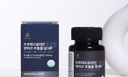 보스 연어 이미지